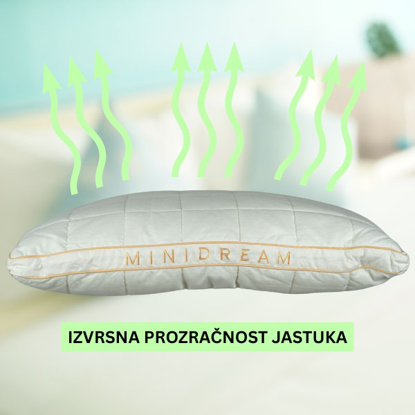 MINIDREAM